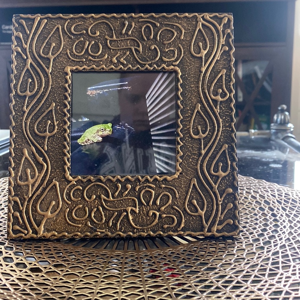 Gotta Give Up the Toad